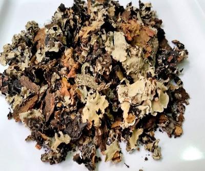 Sri Herbal Kalpasi – Exotic Spice for Rich and Aromatic Flavors